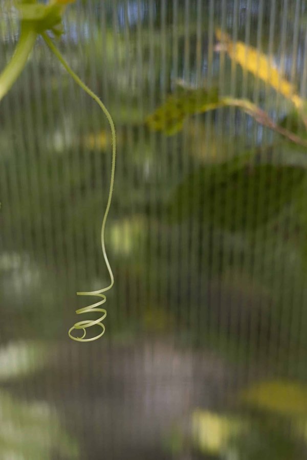 Comment adapter les exercices de Pilates pour les personnes souffrant d'ostéoporose?