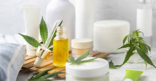 Qu'est-ce qui différencie vraiment les fleurs de chanvre : origine, plante, effets