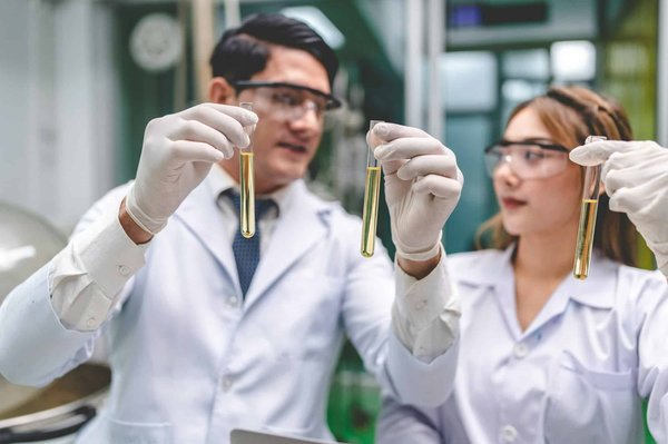 Indica vs sativa pourquoi cela ne veut plus rien dire ajd